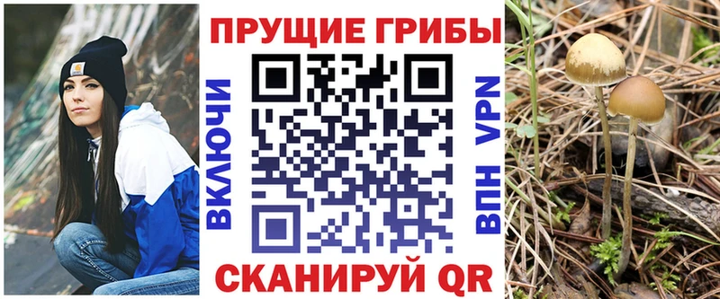 кракен   Невельск  Псилоцибиновые грибы MAGIC MUSHROOMS  цена наркотик 